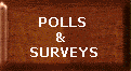 Polls & Surveys